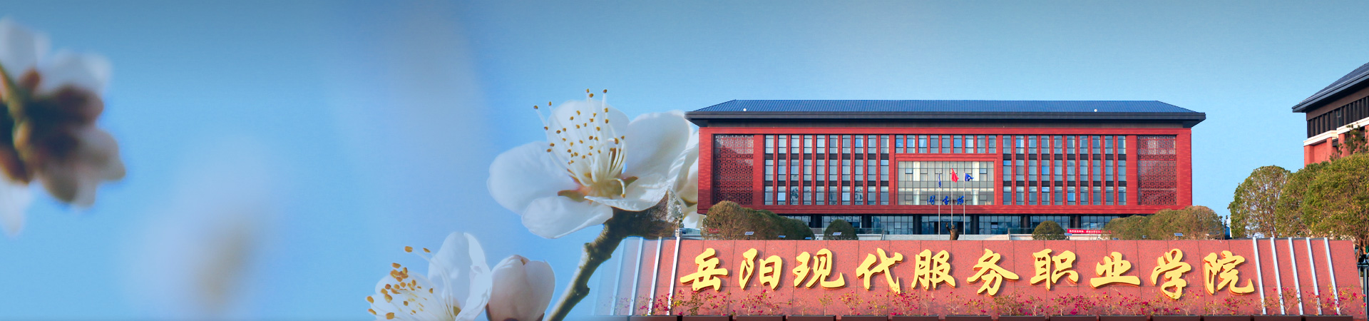 光速体育新闻