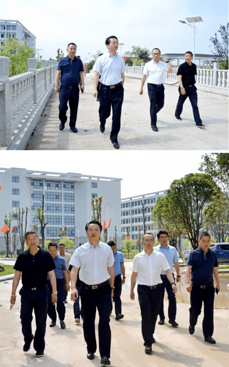 光速体育客户端图片