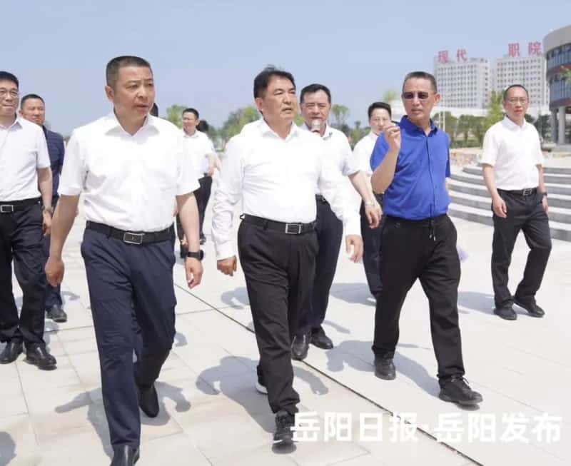 光速体育备用网址