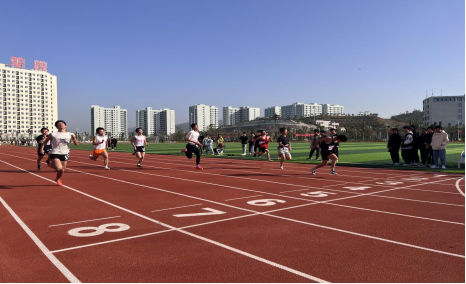 光速体育官方指定端图片