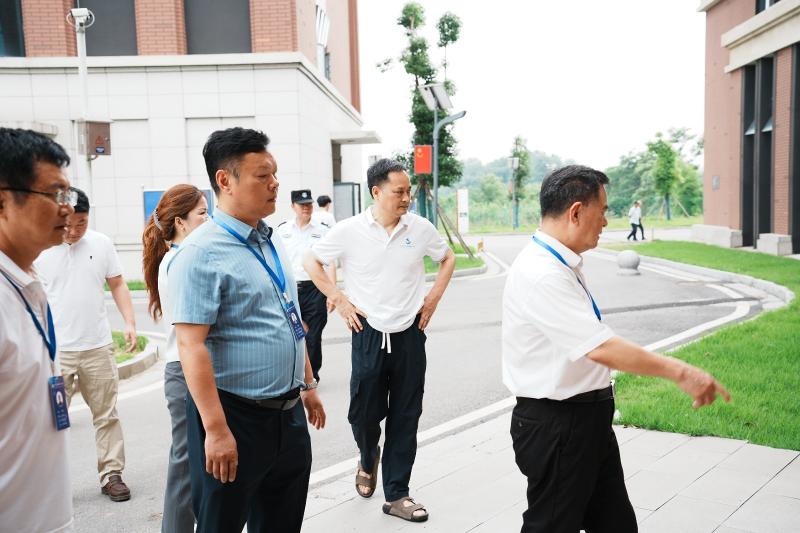 光速体育官方线路